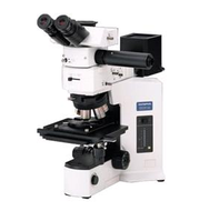 正立显微镜 BX51M