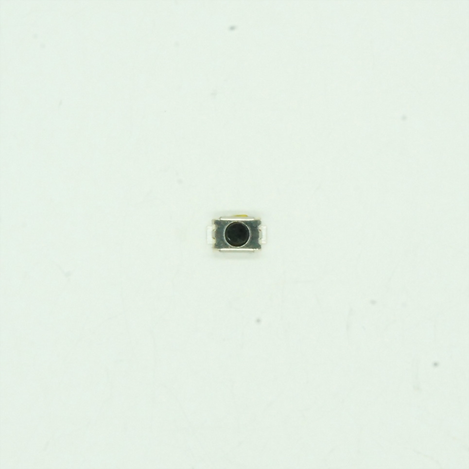 TS-019S
