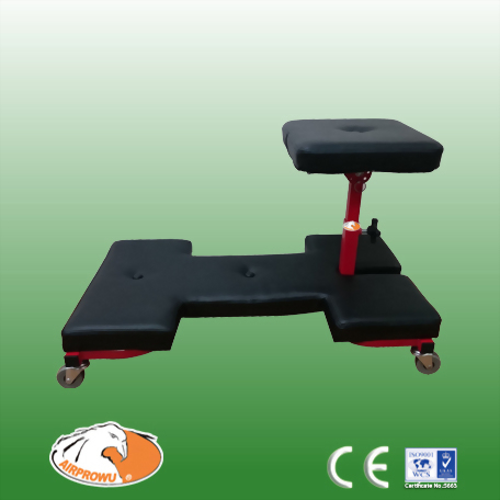 Professional 5 In 1 Sit & Deck Chai (Pat)