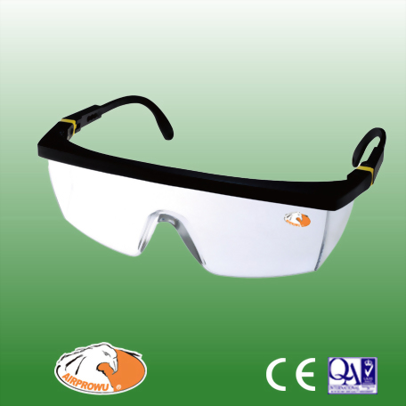 Safety Glasses