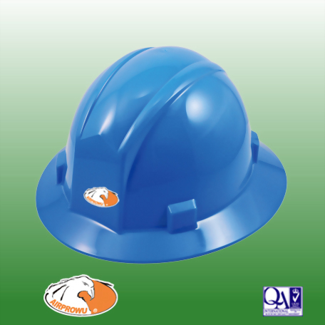 Helmet/Hard Hat
