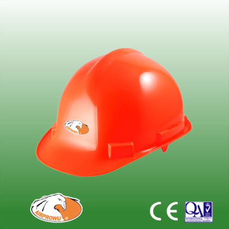 Helmet/Hard Hat