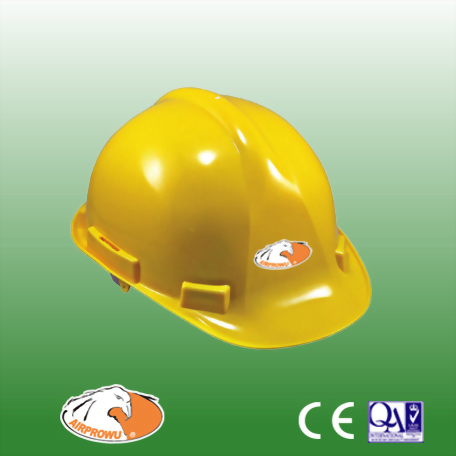 Helmet/Hard Hat