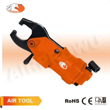 Pneumatic 