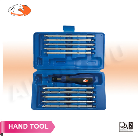 20 in 1 Interchangeable Screwdriver Set (11PCS)