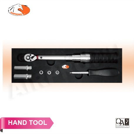 Industrial Torque Wrench Kit