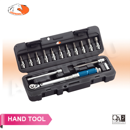 Professional Bicycle Mini Torque Wrench Set (15PCS)