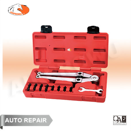 Adjustable Pin Spanner Wrench Set