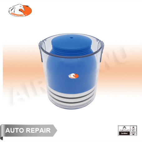 Portable Bearing Packer