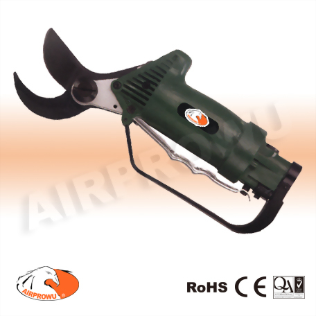Pruning Shear