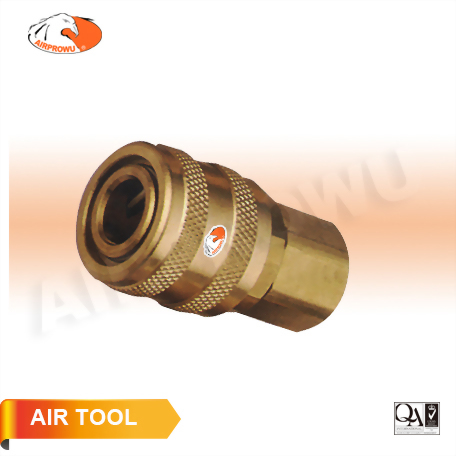 1/4" Female Brass Couper (ARO Type)