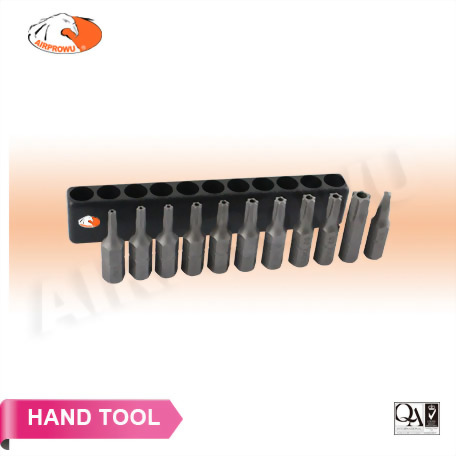 1/4" Hex Shank Screwdriver Bit Set (11PCS)