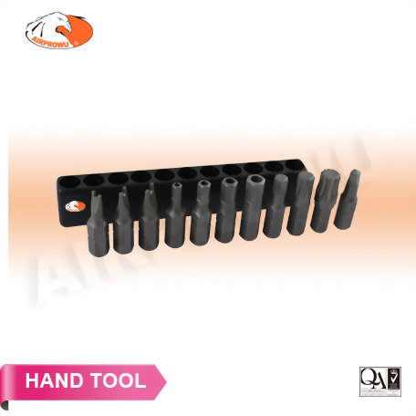 1/4" Hex Shank Screwdriver Bit Set (11PCS) 1/4" Hex Shank Screwdriver Bit Set (11PCS)