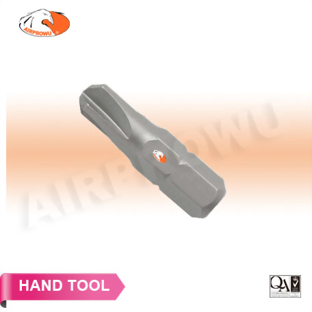 1/4" x 25mm Torq Bits 1/4" x 25mm Torq Bits