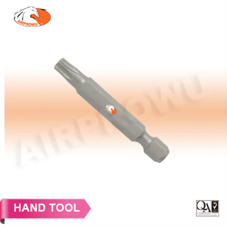 1/4" x 50mm Tamper Star Bits