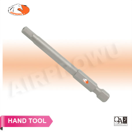 1/4" x 75mm Tamper Hex Bits