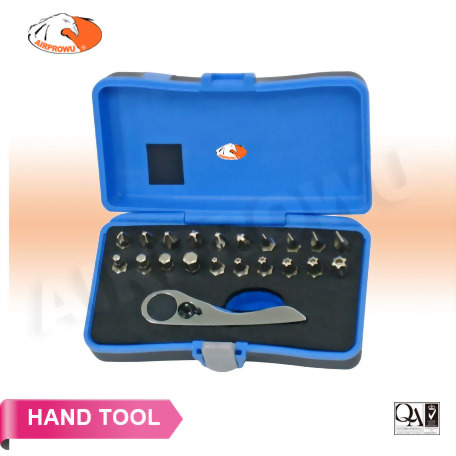 21PCS 1/4" DR. Bits Set