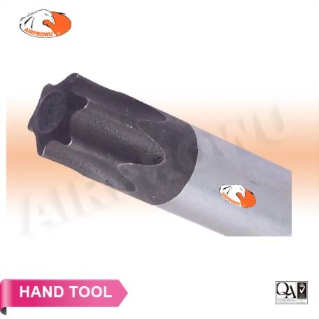 Precision Torx Screwdriver Precision Torx Screwdriver