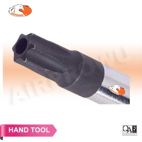 Precision Torx-Tamper Screwdriver