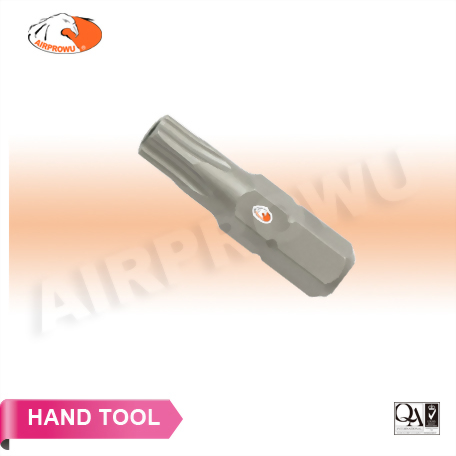 1/4" x 25mm Tamper Star Bits