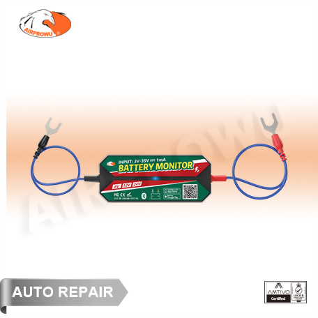 24V/12V/6V Battery Monitor