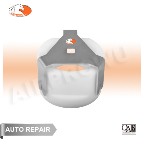 Fuel Filter Removal Tool