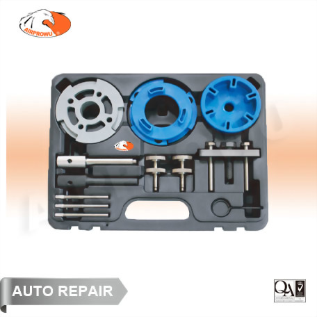 Diesel Engine Setting / Locking & Injection Pump R+I Kit