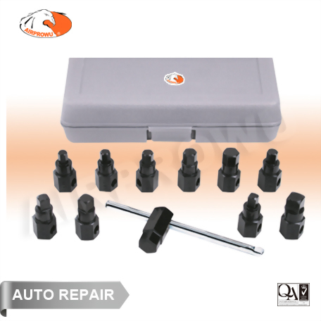 Oil Drain Plug Key Set (12PCS)