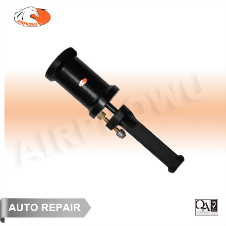 BMW Combination Fuel Injector Remove