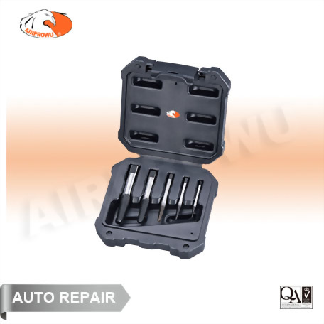 Screw Extractor Set (5PCS)