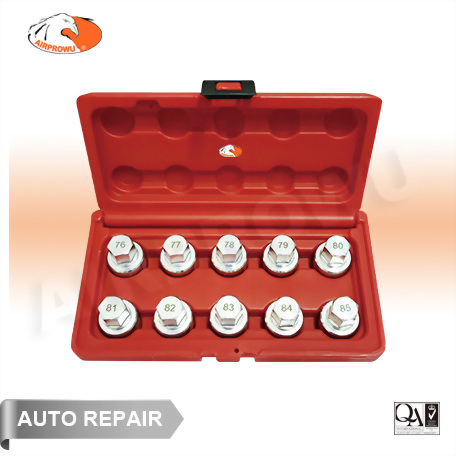 Tesla Wheel Bolt Lock Socket Set (10PCS) Tesla Wheel Bolt Lock Socket Set (10PCS)