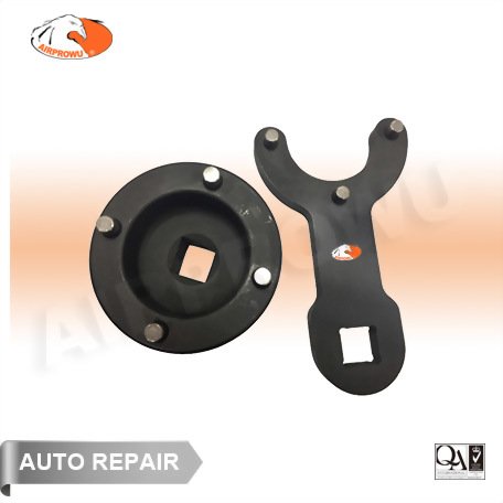 Volvo Hydraulic Lift Cylinder remover/ Installer Set