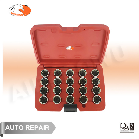 VAG & Seat Wheel Screw Lock Socket Set (20PCS)