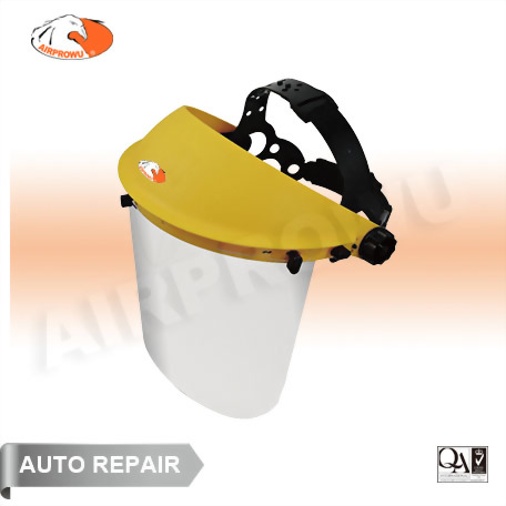 Browguard & Face Shield