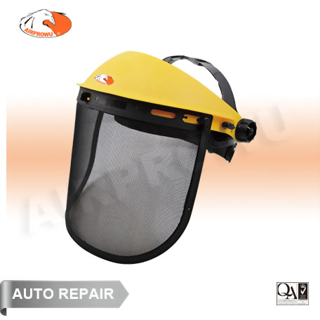 Browguard & Face Shield