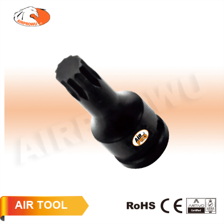 3/8" DR. Triple Square Bit Impact Socket