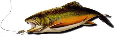 dyneema-fish.jpg.jpg