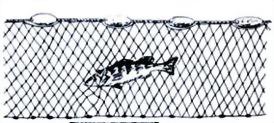 gill-net.jpg.jpg