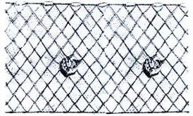 trammel-net.jpg.jpg