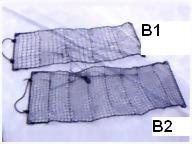 b1-b2.jpg.jpg