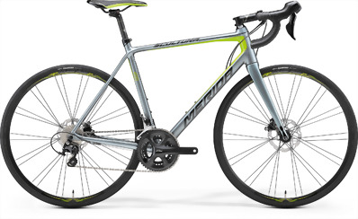 Scultura Disc 400