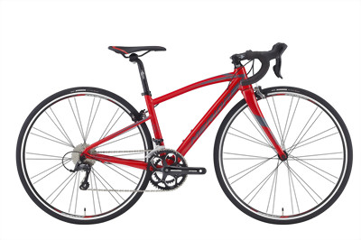 Ride 210
