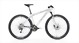 white(grey)