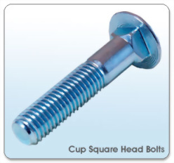 Cup Head Square Neck Bolts