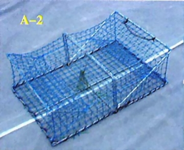 07-螃蟹網