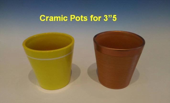 Cramic Pots for 3