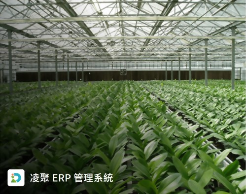 Customized ERP system implementation Customized ERP system implementation