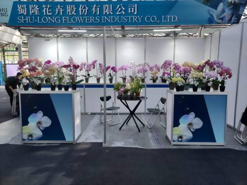 2023 Taiwan International Orchid Show 2023 Taiwan International Orchid Show