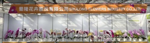 Shu Long 2024 March Flowering Plant display Shu Long 2024 March Flowering Plant display