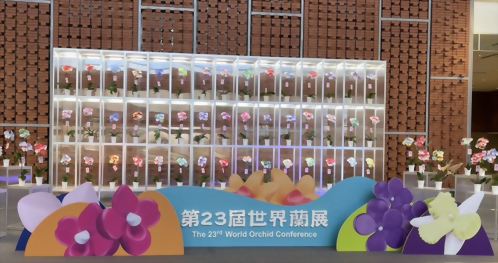 2024 World Orchid Conference & Taiwan International Orchid Show 2024 World Orchid Conference & Taiwan International Orchid Show